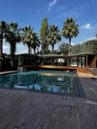 Boris Hotel photo 8
