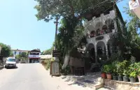 Pikan Ephesus photo 3