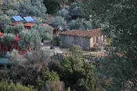 Şirince'm Saklı Vadi Pansiyon&Restoran photo 5