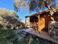 Şirince'm Saklı Vadi Pansiyon&Restoran photo 4
