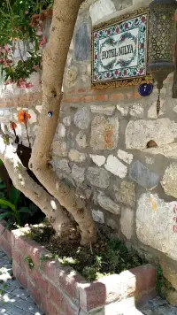 Nilya Hotel photo 2