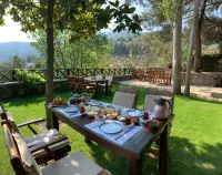 Adissa Hotel photo 1