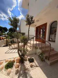 Sâde Dikili photo 10