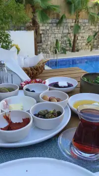 Kuğu Urla photo 4
