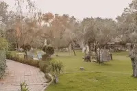 Ayşe Hanım Konağı photo 3