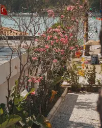 Marina Port Otel Akyaka photo 4
