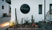 Kikonia Art & Suites photo 1