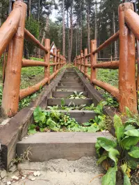Doceia Otel photo 9