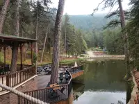 Doceia Otel photo 5
