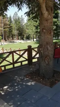 Yalnız Ardıç Bungalov Evleri Tatil Köyü photo 6