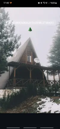 Yalnız Ardıç Bungalov Evleri Tatil Köyü photo 3