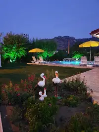 Dalyan Villa Meryem Ana photo 9