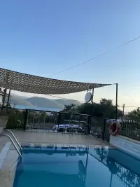 Portofino Apart photo 5