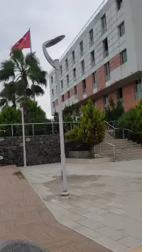 Anemon Ordu Otel photo 3