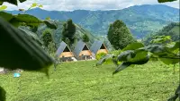 Rize serenity bungalov photo 1