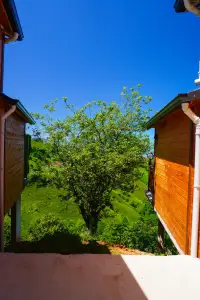 Putra Suit Bungalov photo 6