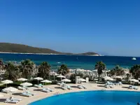 Cocos The Club Solto photo 10