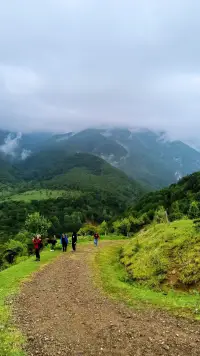 Yenice Forest Pansiyonu photo 6