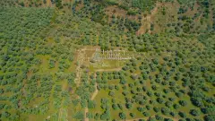 Aydın Nysa Archeological Site photo 8