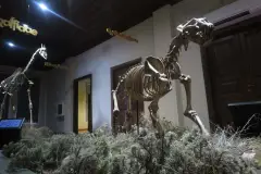 Çankırı Museum photo 5