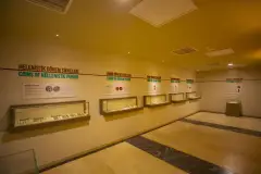Gaziantep Archaeology Museum photo 8