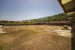 İzmir Metropolis Archaeological Site photo 7