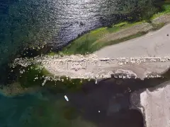 İzmir Teos Archaeological Site photo 5
