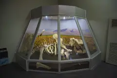 Kahramanmaraş Museum photo 4
