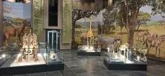 Kırşehir Museum Directorate photo 3