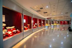 Ankara MTA Şehit Cuma DAĞ Natural History Museum photo 4