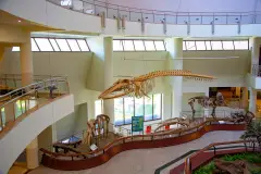 Ankara MTA Şehit Cuma DAĞ Natural History Museum photo 5