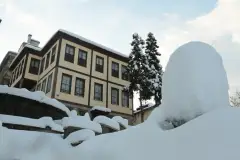 Rize Museum photo 6