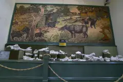 Muğla Museum photo 8