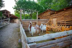 Ankara Anatolian Open Air Museum photo 4