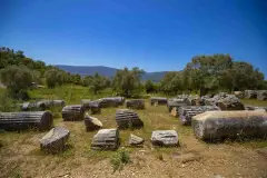Muğla Euromos Archaelogical Site photo 8