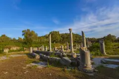 Muğla The Archaeological Site of Iassos photo 4