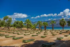 Muğla Sedir Island (Kedrai) photo 2