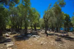 Muğla Sedir Island (Kedrai) photo 4