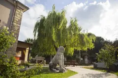 Sinop Museum photo 2