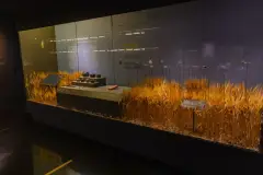 İstanbul Pera Museum photo 7
