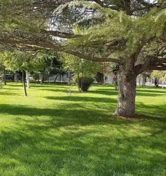 MKE Sanayi ve Teknoloji Muzesi photo 5