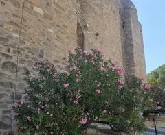 Çimenlik Müzesi photo 8