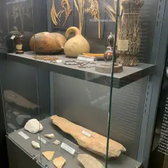 Trakya Üniversitesi Doğa Tarihi Müzesi photo 7