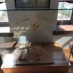 Tarihi Doğanbey köyü müzesi photo 6