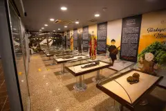 Amasya Museum photo 4