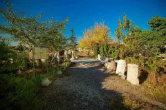 Ankara Roman Bath photo 4