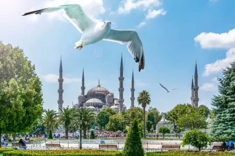 28 Days Complete Turkey Tour — Istanbul