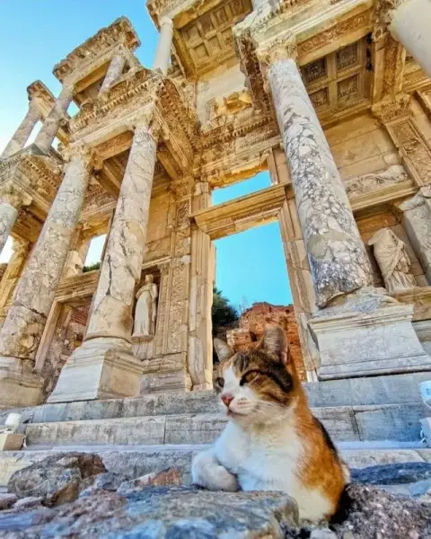 3-Day Ephesus, Pamukkale & Didyma Tour from Istanbul by Flight