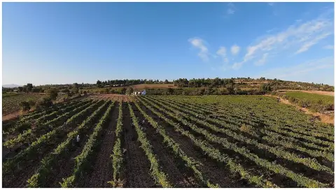 4 Days Edirne & Tekirdag Tour: Selimiye Mosque and Thracian Winery Visits (Group Tour)