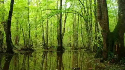 4 Days Kirklareli & Igneada Trekking Tour Private Tour